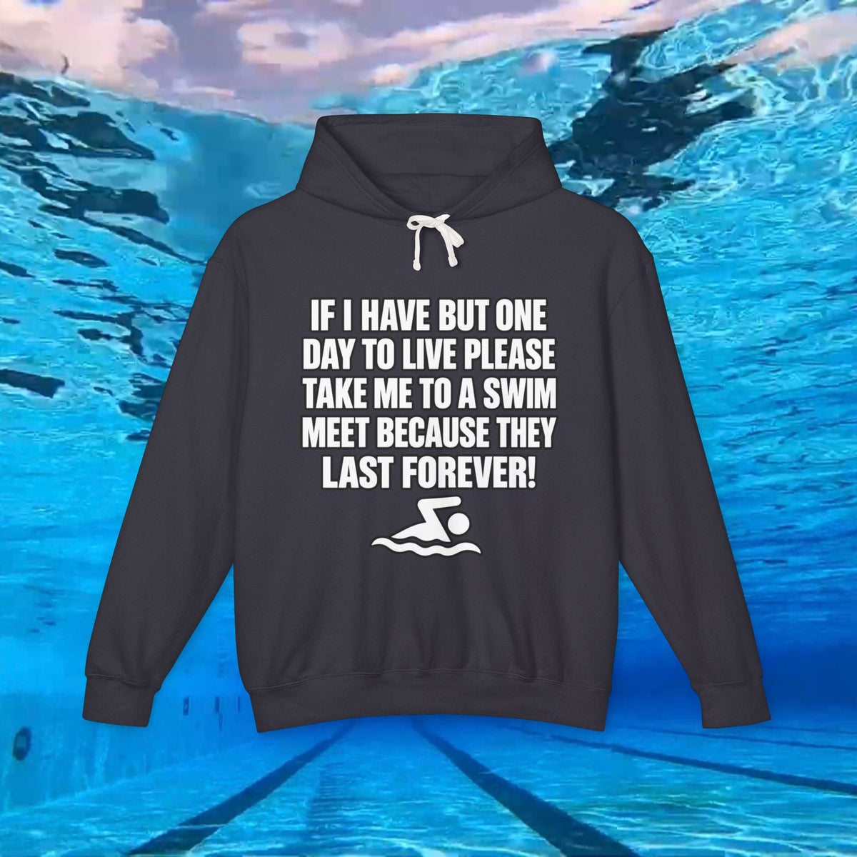 If I Have But One Day To Live Please Take Me To A Swim Meet hoodie | Swim Team Sweatshirt